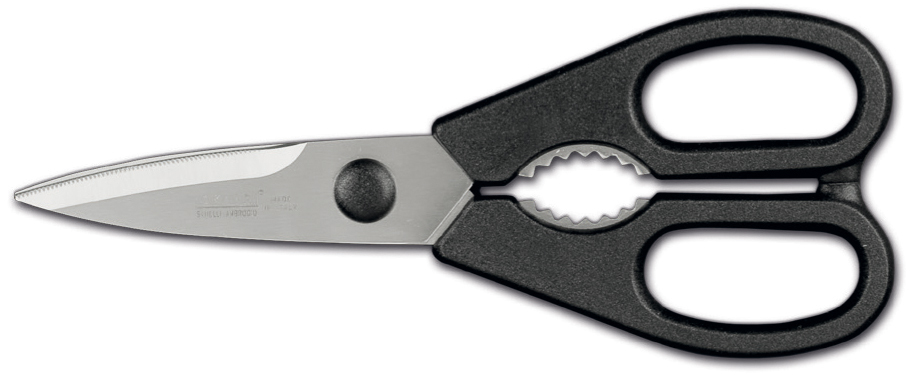 1555.000 KITCHEN SCISSORS, STAINLESS STEEL DIVISIBLE SANELLI AMBROGIO