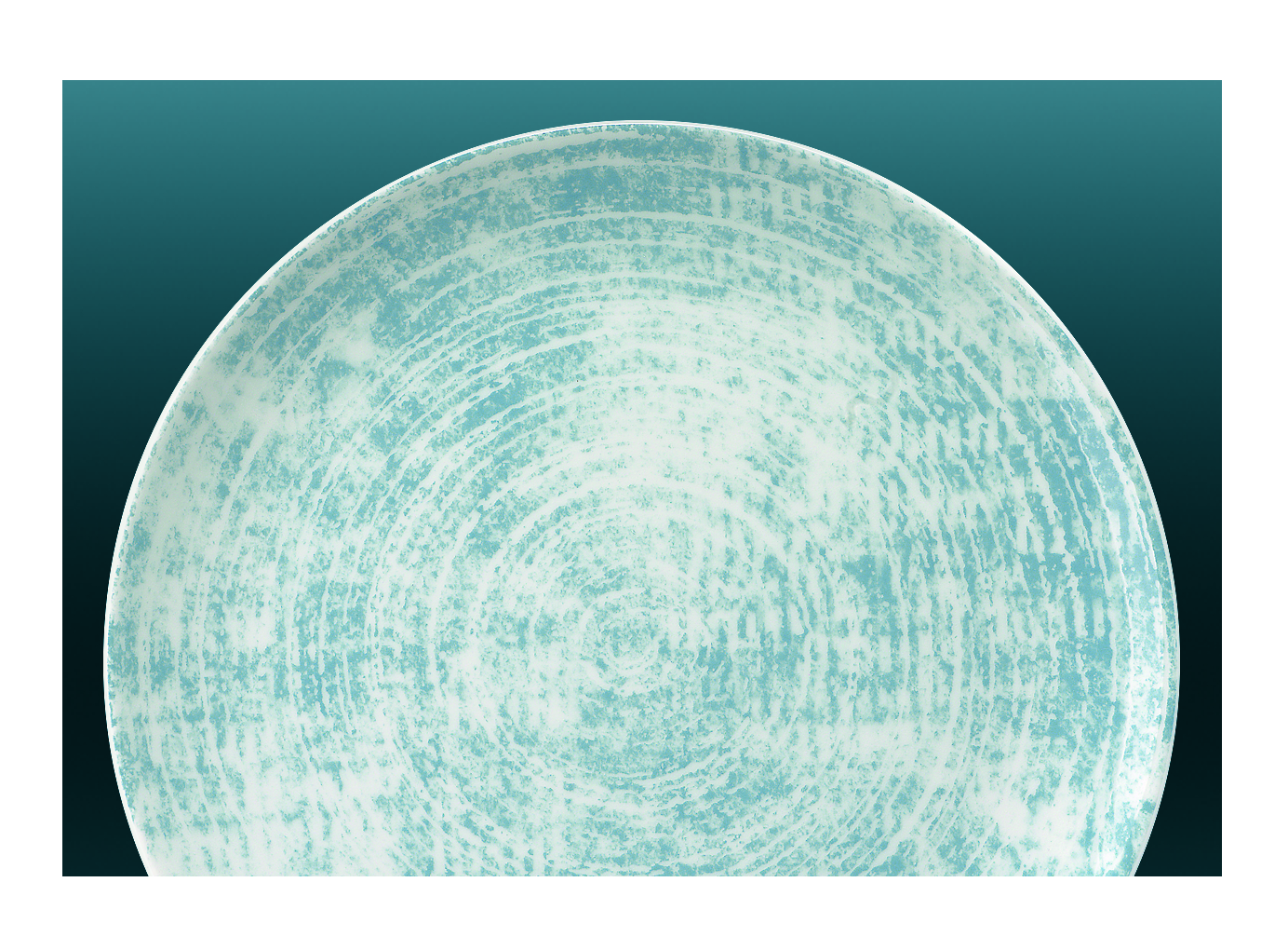 SHABBY CHIC 63072 PLATE FLAT COUPE 26cm SCHONWALD