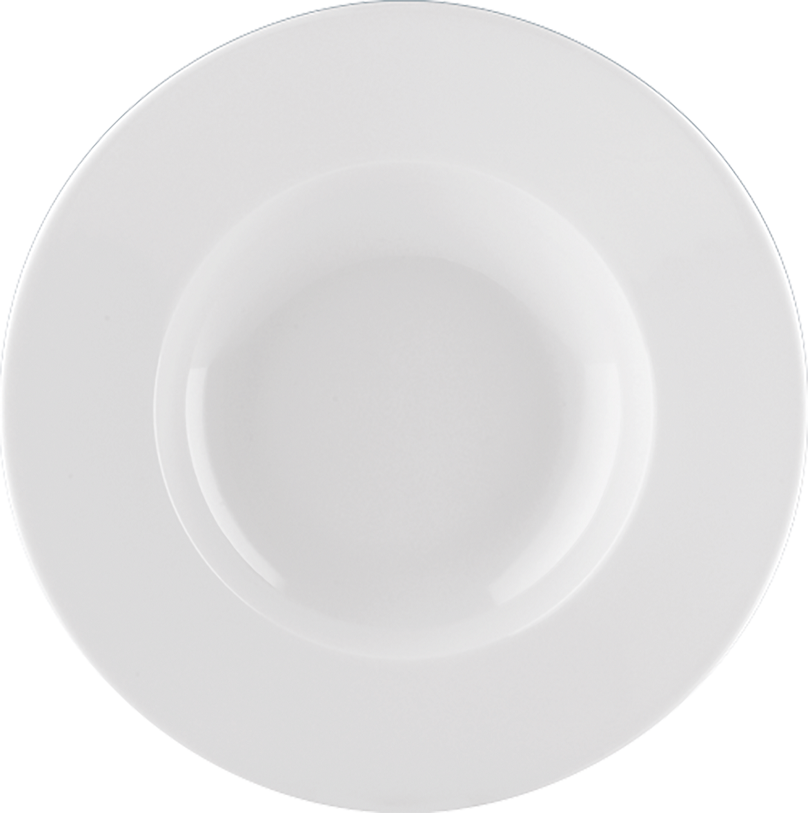 FINE DINING PLATE DEEP WITH RIM 28cm SCHONWALD Germany