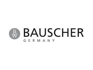 PURITY PLATE FLAT WITH RIM 29 CM RELIEF Bauscher Germany - Image 2