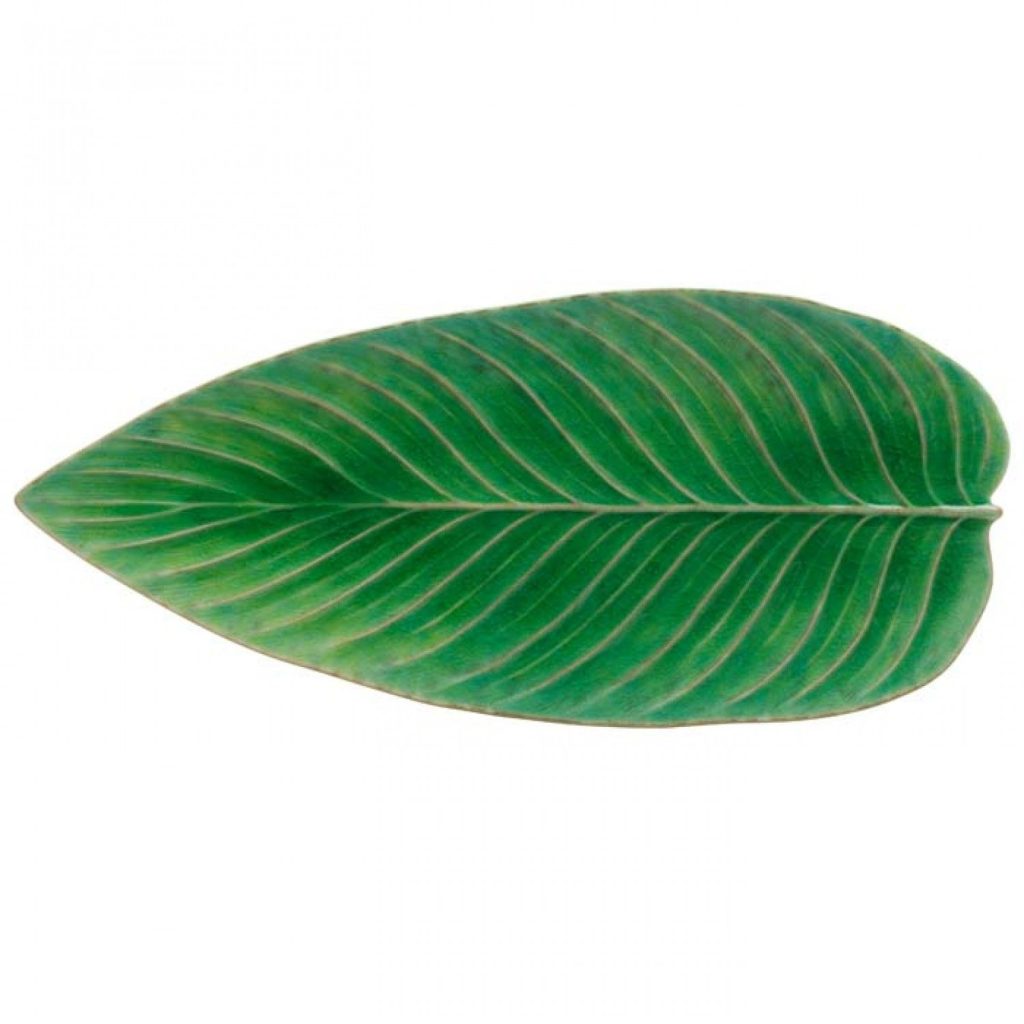 wp-header-logo-3003.png