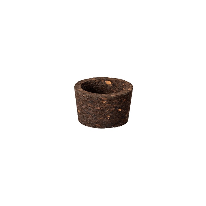 wp-header-logo-3617.png