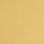 wp-header-logo-5116.png
