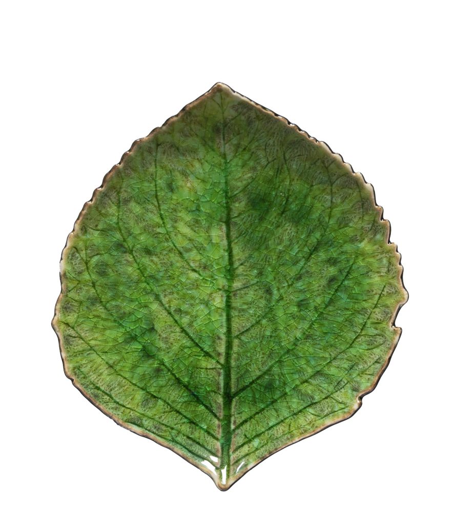 wp-header-logo-5788.png