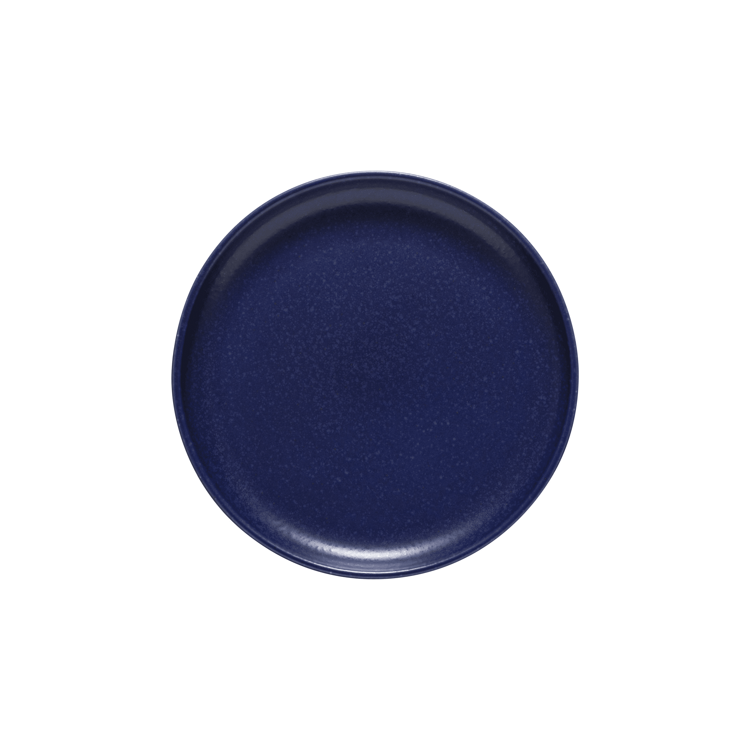 wp-header-logo-6834.png PACIFICA BLUEBERRY DINNER PLATE 20cm STONEWARE COSTA NOVA - Image 1