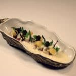 Oyster shell 24X10,6X2,5cm bystydioraw