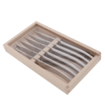 6 KNIFE THIERS STAINLESS STEEL BOX WITH PLEXIGLASS COVER Le Thiers by Jean Dubost France