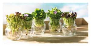 QUATTRO STAGIONI  ΔΟΧΕΙΟ ΓΥΑΛΙΝΟ 15cl BORMIOLI  ROCCO ® - Image 3
