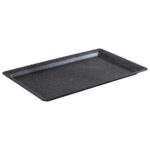"FROSTFIRE" GN 1/2 tray  APS GERMANY