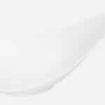 CANVAS AGAVE LEAF WHITE 24X15CM PORCELAIN SCHONWALD Germany